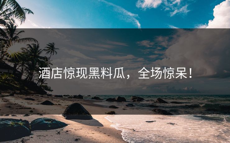酒店惊现黑料瓜，全场惊呆！