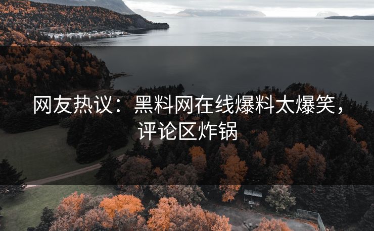 网友热议：黑料网在线爆料太爆笑，评论区炸锅