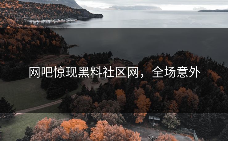 网吧惊现黑料社区网，全场意外