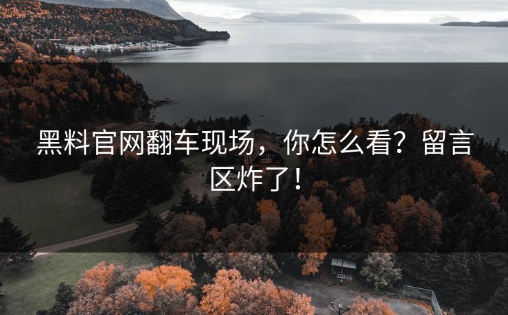 黑料官网翻车现场，你怎么看？留言区炸了！