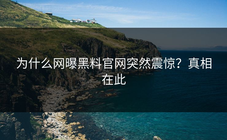 为什么网曝黑料官网突然震惊？真相在此