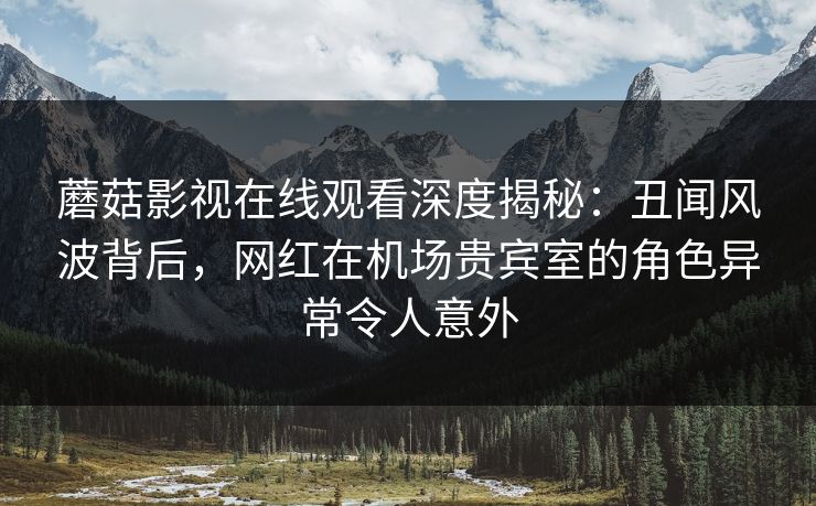 蘑菇影视在线观看深度揭秘：丑闻风波背后，网红在机场贵宾室的角色异常令人意外