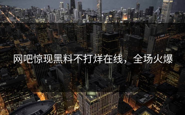 网吧惊现黑料不打烊在线，全场火爆