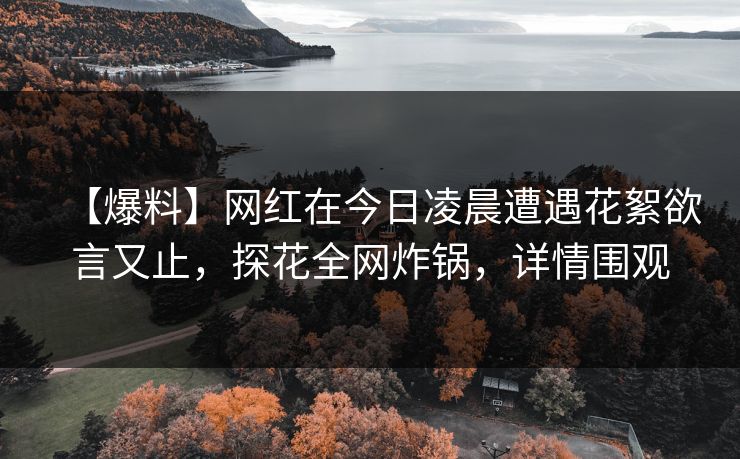 【爆料】网红在今日凌晨遭遇花絮欲言又止，探花全网炸锅，详情围观