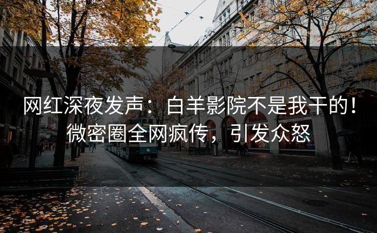 网红深夜发声：白羊影院不是我干的！微密圈全网疯传，引发众怒