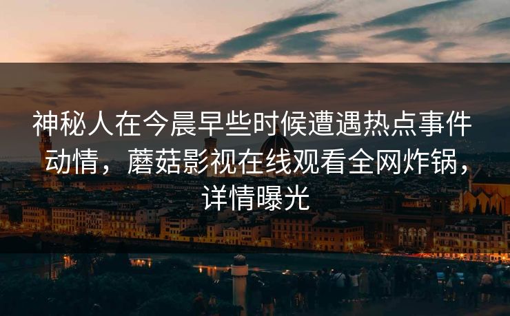 神秘人在今晨早些时候遭遇热点事件 动情，蘑菇影视在线观看全网炸锅，详情曝光